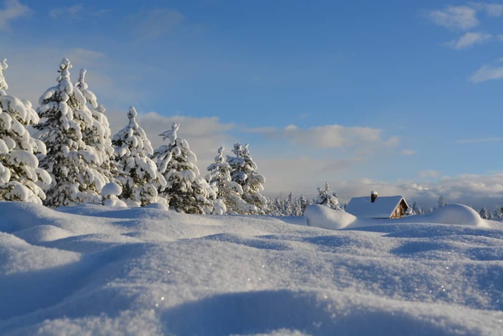 Crypto winter