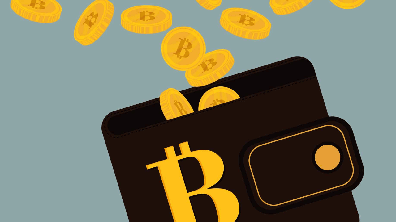 Small Bitcoin Wallets Reach Record Highs